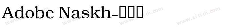 Adobe Naskh字体转换